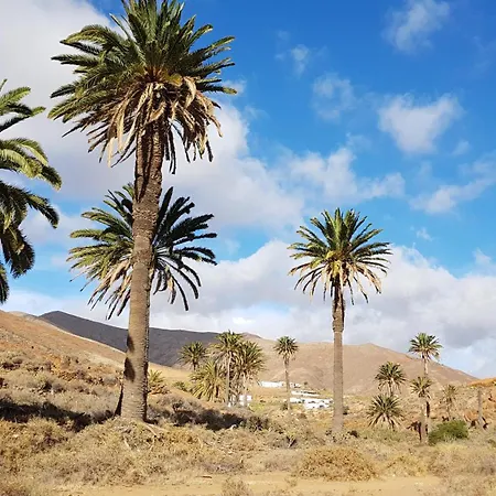 Casa Cocoon, Sun&freedom, 8 Mn From Beaches, Internet Fiber