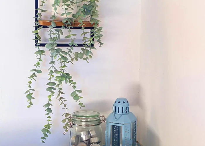 Apartmán Casa Cocoon, Sun&freedom, 8 Mn From Beaches, Internet Fiber *