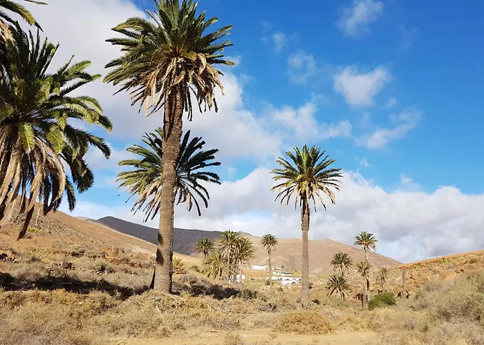 Casa Cocoon, Sun&freedom, 8 Mn From Beaches, Internet Fiber