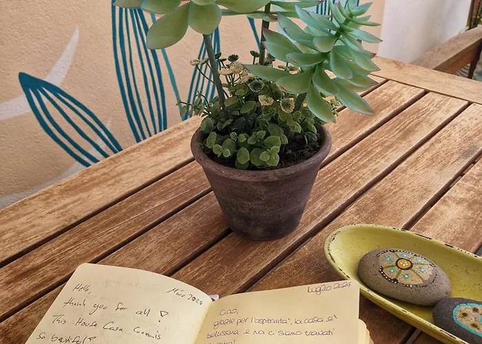 Casa Cocoon, Sun&freedom, 8 Mn From Beaches, Internet Fiber