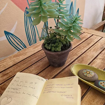 Casa Cocoon, Sun&freedom, 8 Mn From Beaches, Internet Fiber